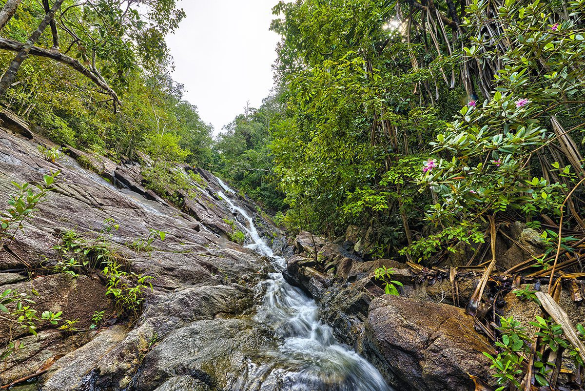 Phaeng Waterfall Koh Phangan