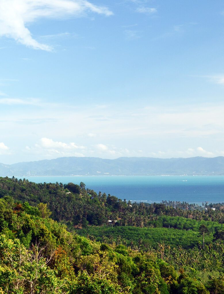 Baan Tai