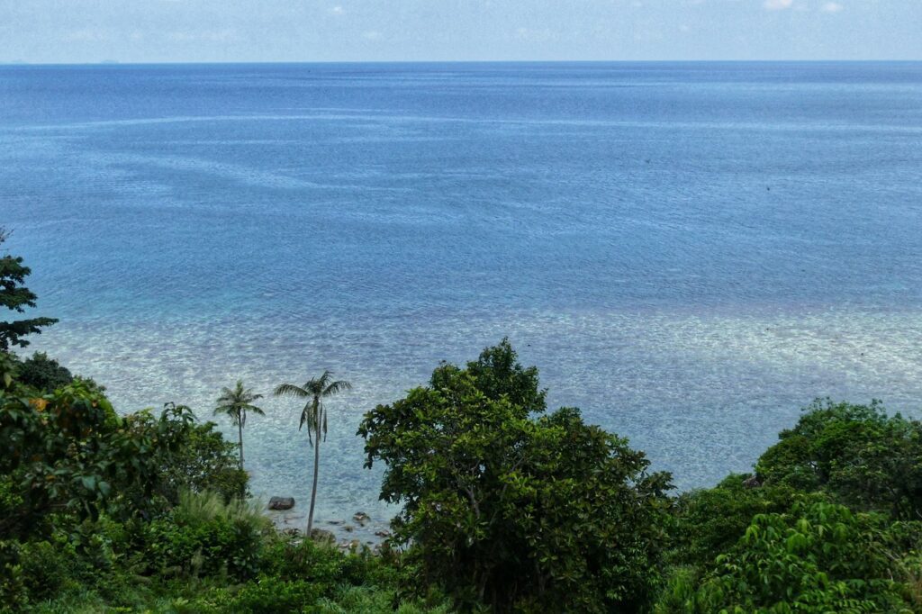 Investment Opportunities in Koh Phangan
