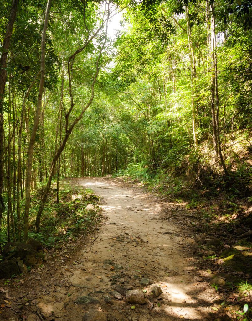 Koh Phangan Hiking Trails