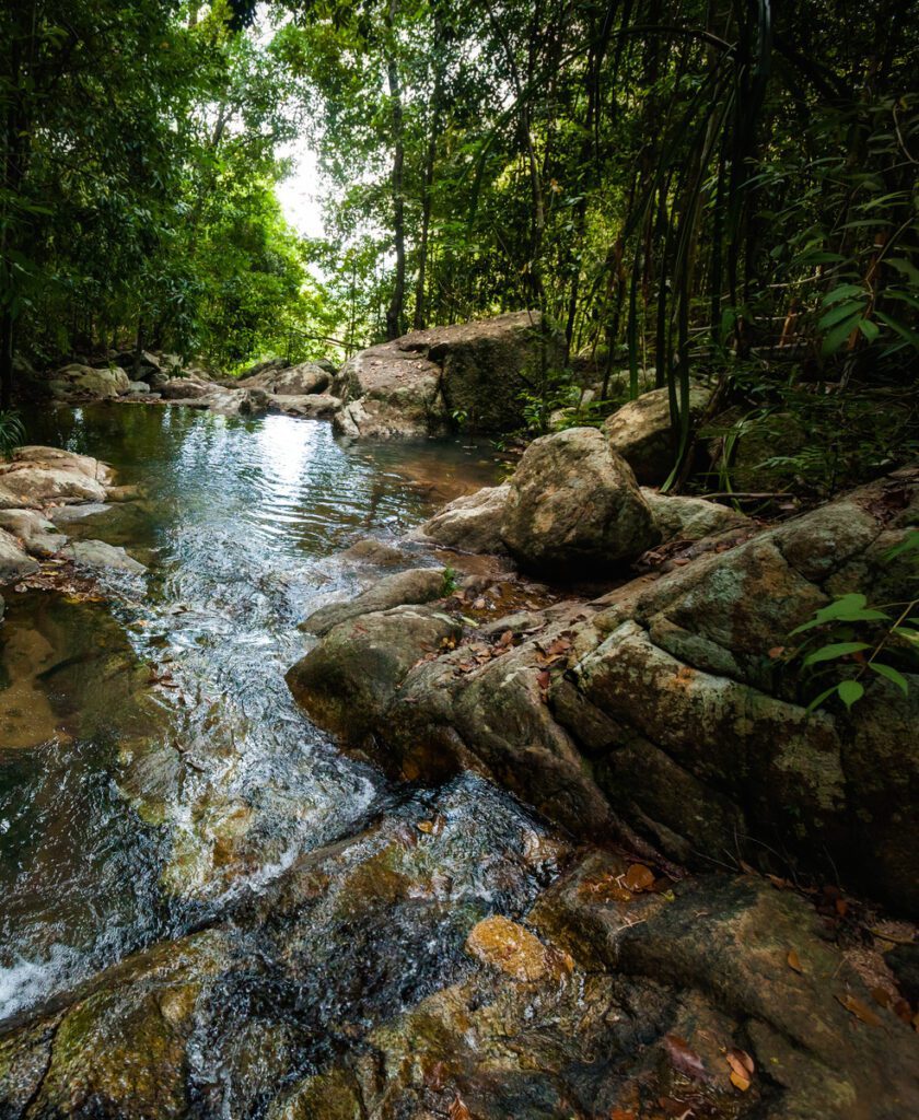 Koh Phangan Hiking