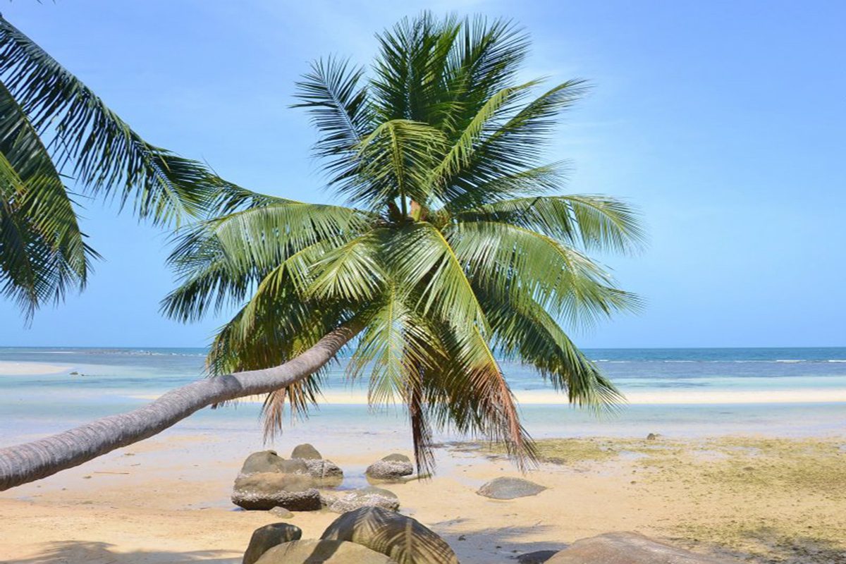 Haad Chao Phao Beach Koh Phangan